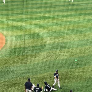 고척 203구역 후기