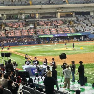 고척돔 후기 버건디석