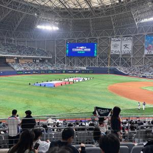 고척돔 3루 버건디 209블럭 F열 시야 공유