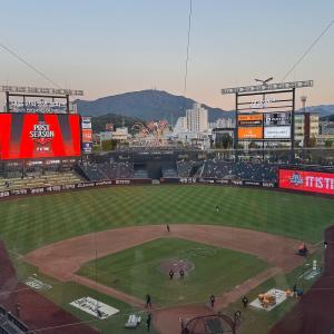 볼파크 416구역 1열