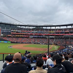 볼파크 123블럭 32열