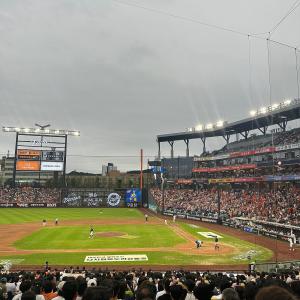 3루 114구역 29열 9번