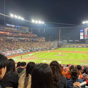 볼파크 1루 내야지정석A 110구역 21열 7, 8번