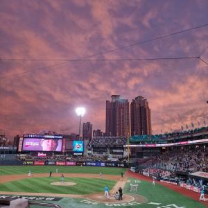 [위즈파크] 223 구역 2열 시야