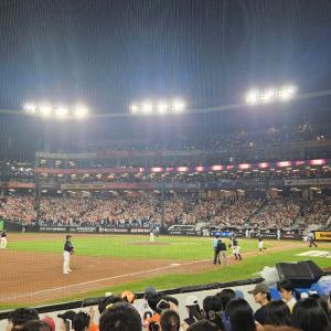 119구역 8번열 뷰입니다