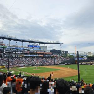 [볼파크] 볼파크 카스존 105구역 26열 통로 2연석
