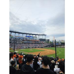 [볼파크] 볼파크 카스존 105구역 26열 통로 2연석