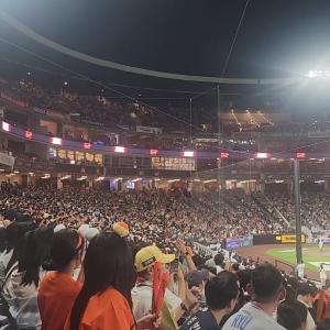 카스존 대유잼!