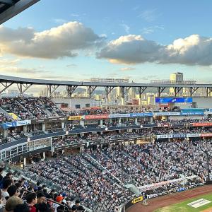 407구역 12열 시야