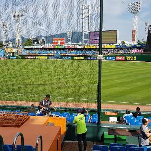 직관 도착했어요!