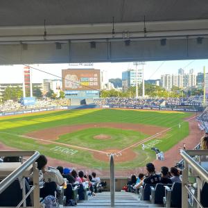 216구역 6열 시야입니다