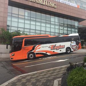 오늘 호텔 출싸 득