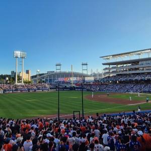 122블럭 피크닉석 뷰