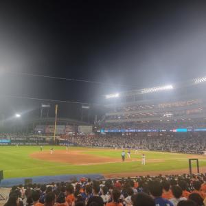 120구역 19열 뷰입니다