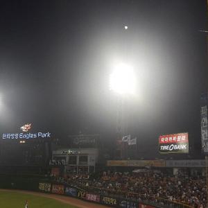 오늘 직관 승리굿