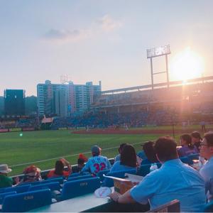 올 시즌 첫 직관 패 ㅠㅠ
