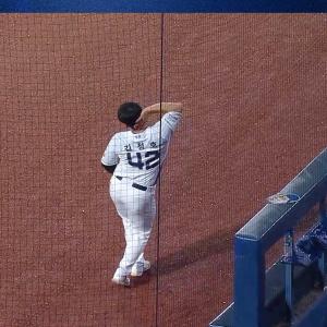 우천 공연☔️ #야구 #김정호 #NC다이노스