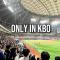 세계 유일, 타 구단 응원가 부를수 있는 스포츠 #kbo