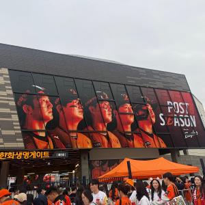 가을야구 직관 사진 (배경화면 사진) 공유합니다